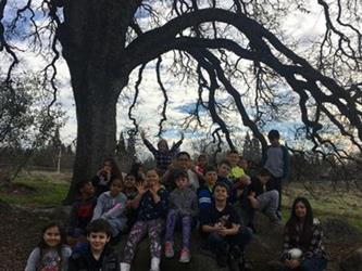 group of students outside under a tree