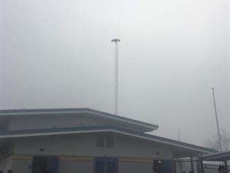 bird on top of pole of building outside 