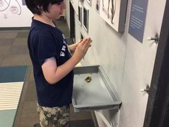 student playing with hands-on art exhibit