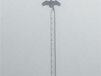 bird on top of pole outside