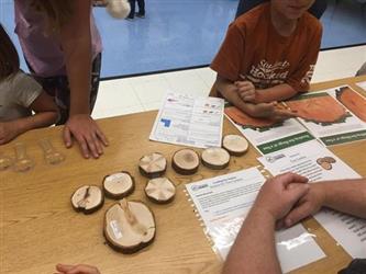 students learning about trees at a table inside