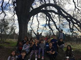 group of students outside under a tree